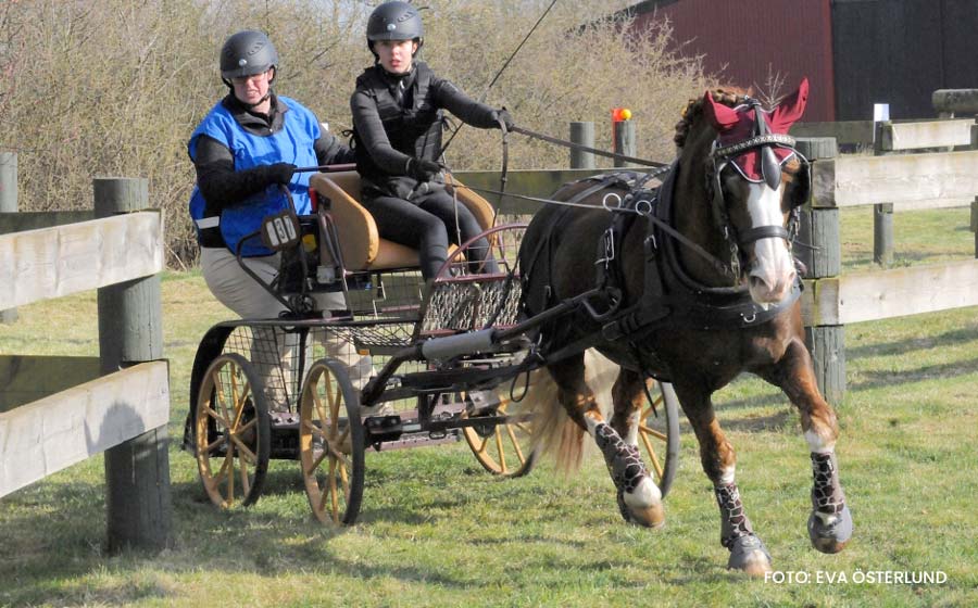 Ester Fagerlind, Talyllyn Abel RWC7