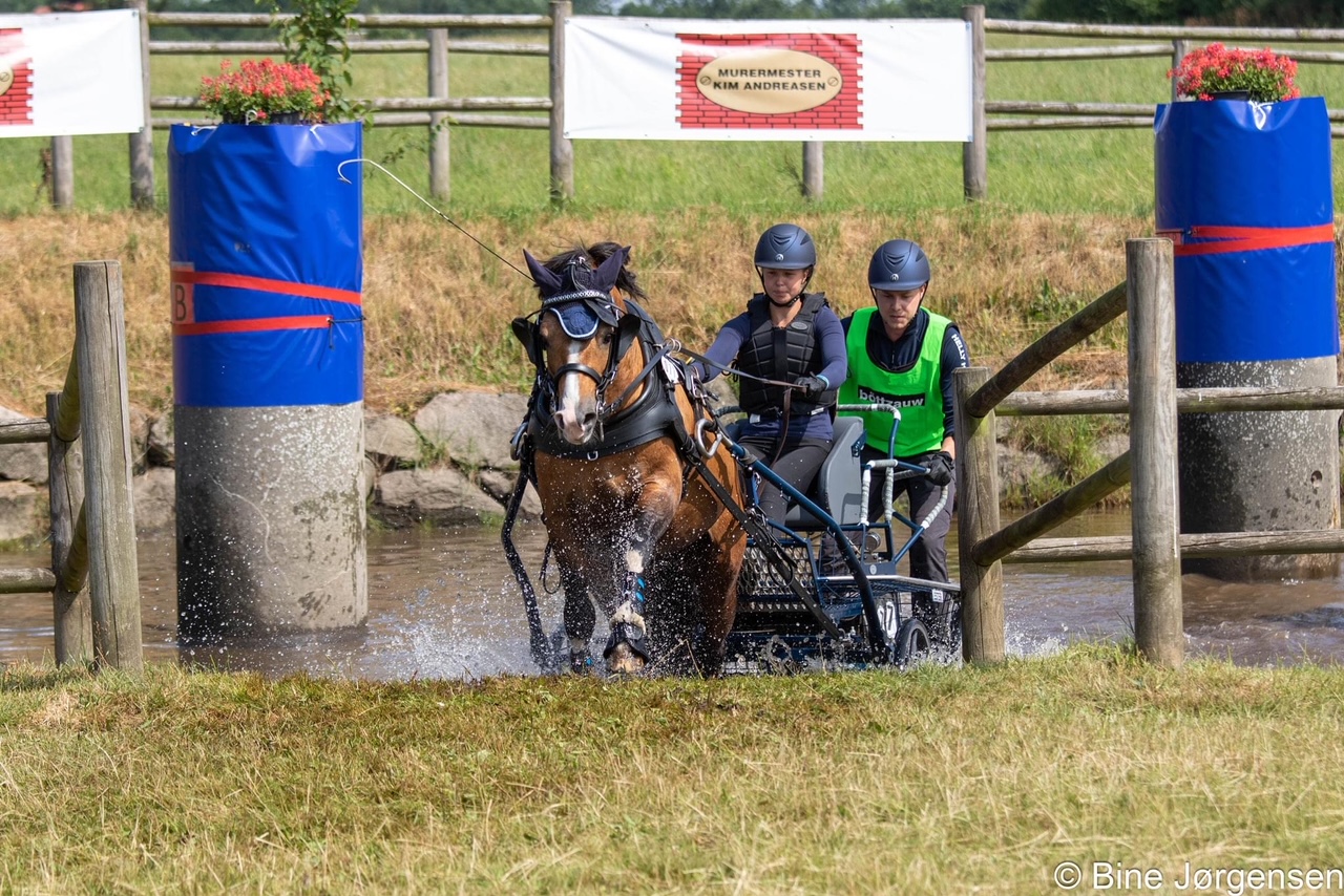 Ester Fagerlind, Jens Larsson, Menai Diego